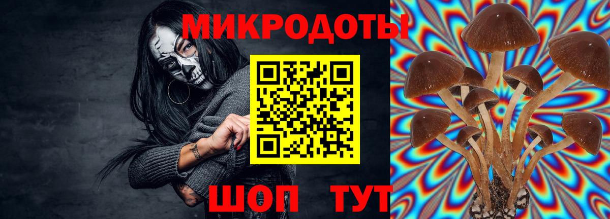 Псилоцибиновые грибы Psilocybine cubensis  что такое наркотик  Вход с VPN  Михайловск  Псилоцибиновые грибы мухоморы 